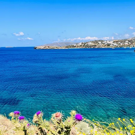 Gaia, Beachfront, Plunge Pool & Sunset By Explore Andros Holiday home *